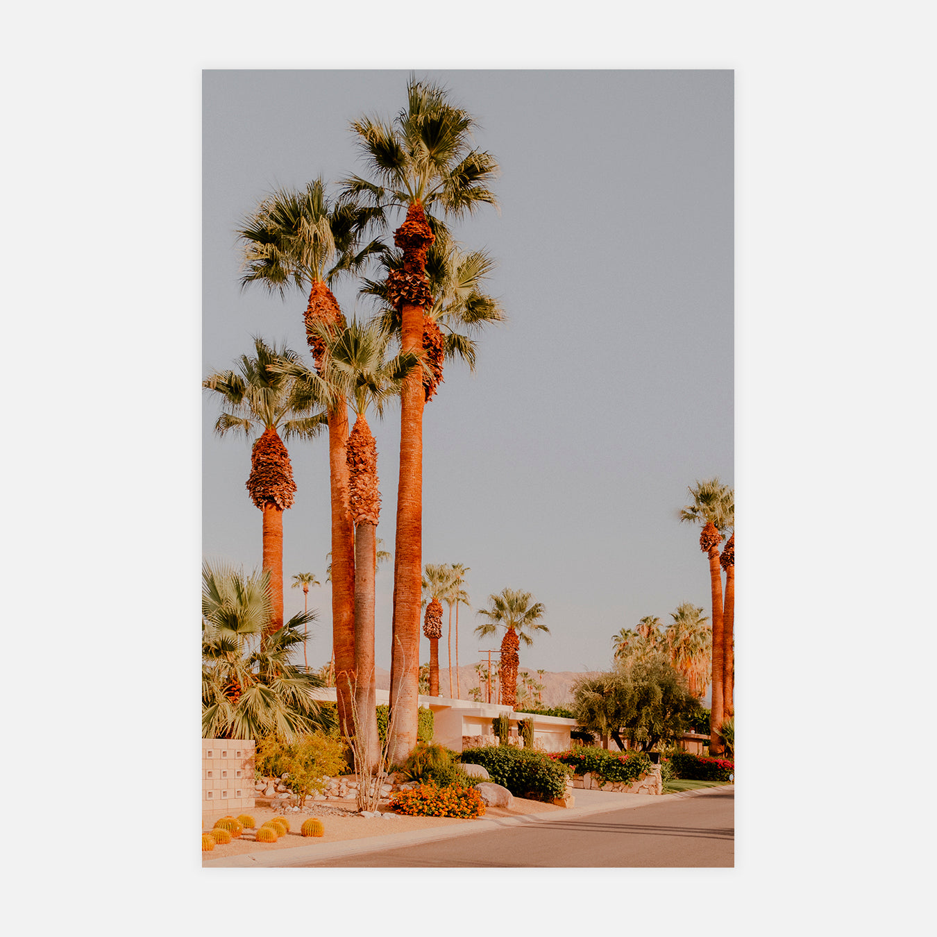 Palm Canyon street - Photo d'art