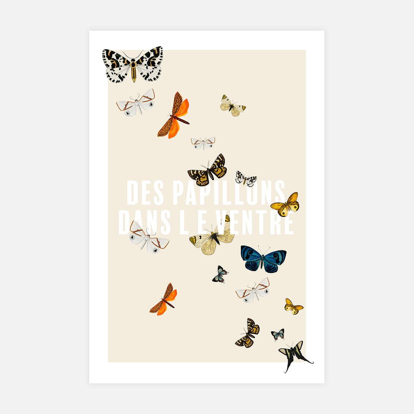 Des papillons dans le ventre - Illustration d'art