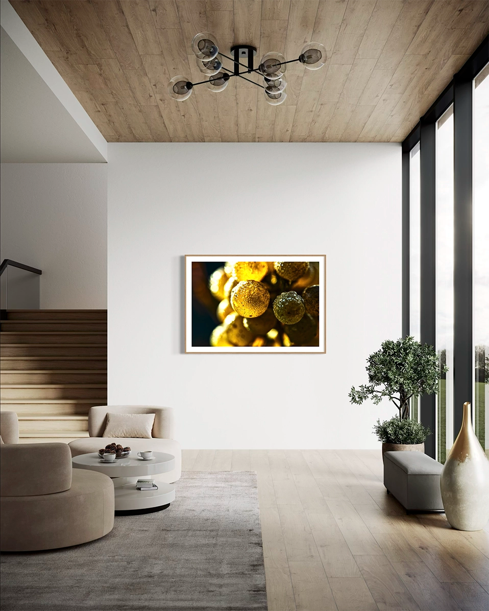 Alchimie solaire - Photo d'art