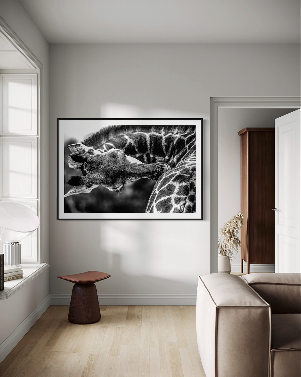 Élégance en mouvement - Photo d'art