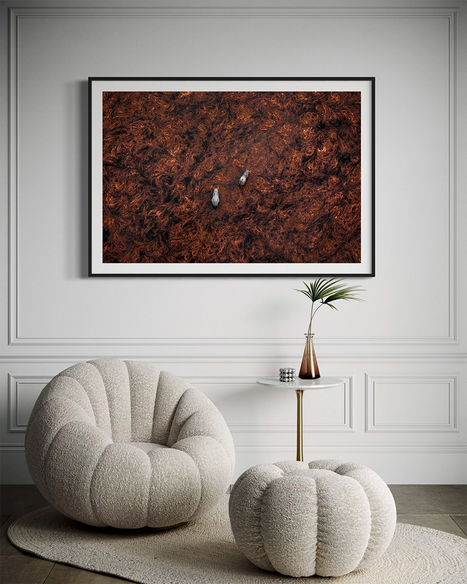 Éléphants dans l'Okavango - Photo d'art