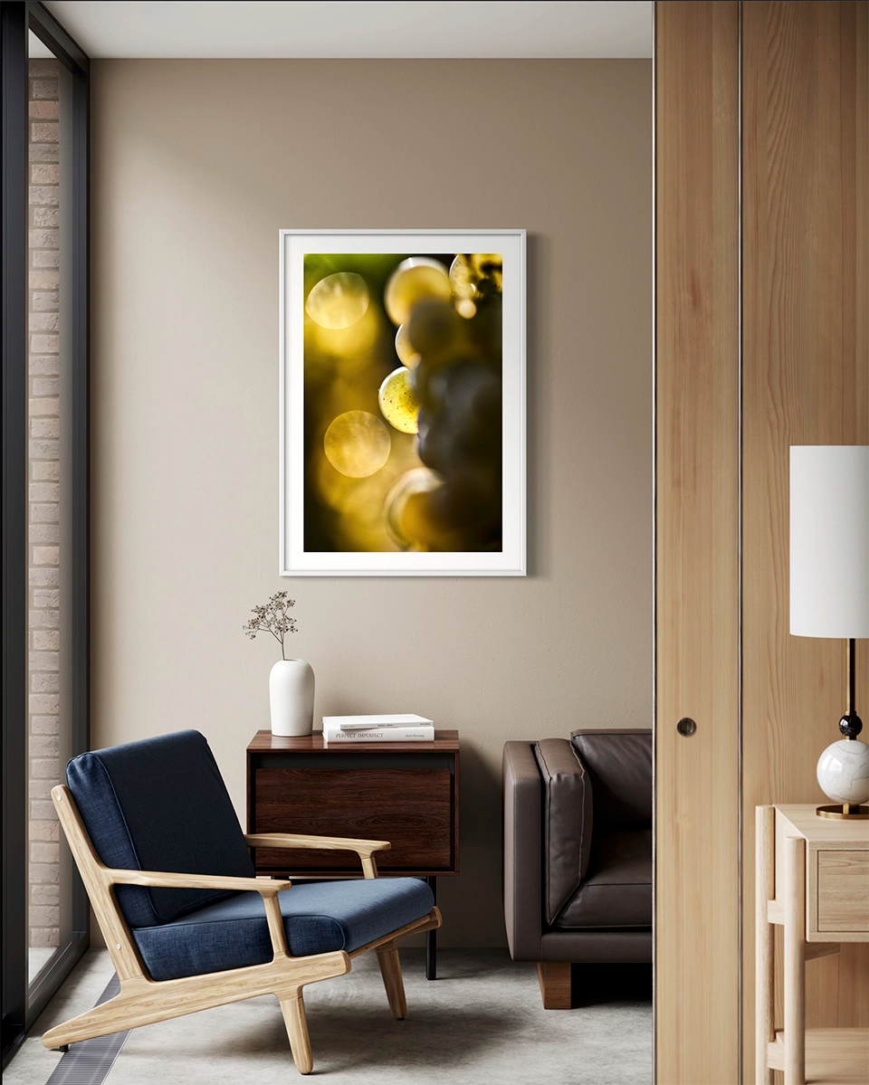 Lueur de vendange - Photo d'art