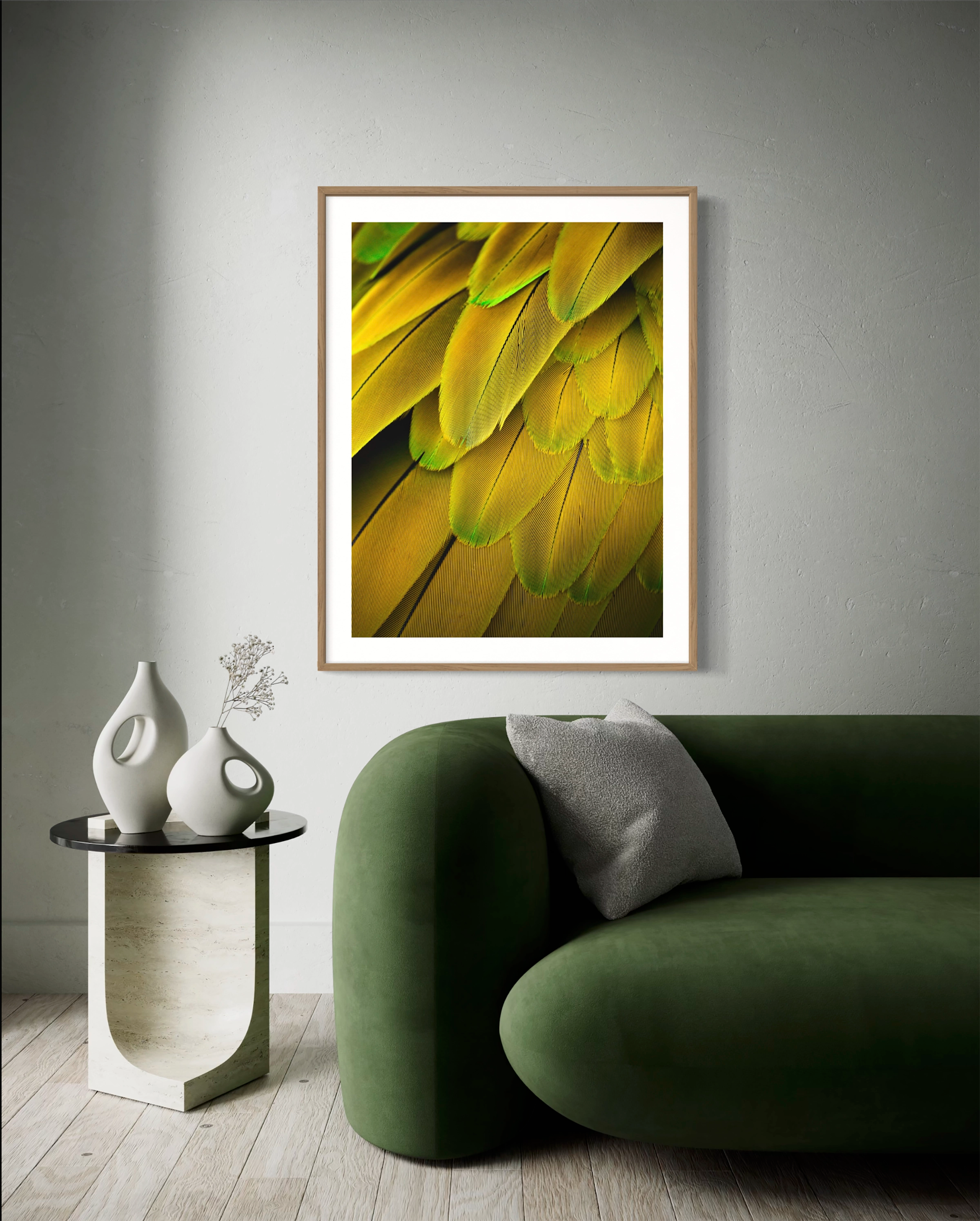 Militaris Feather - Photo d'art