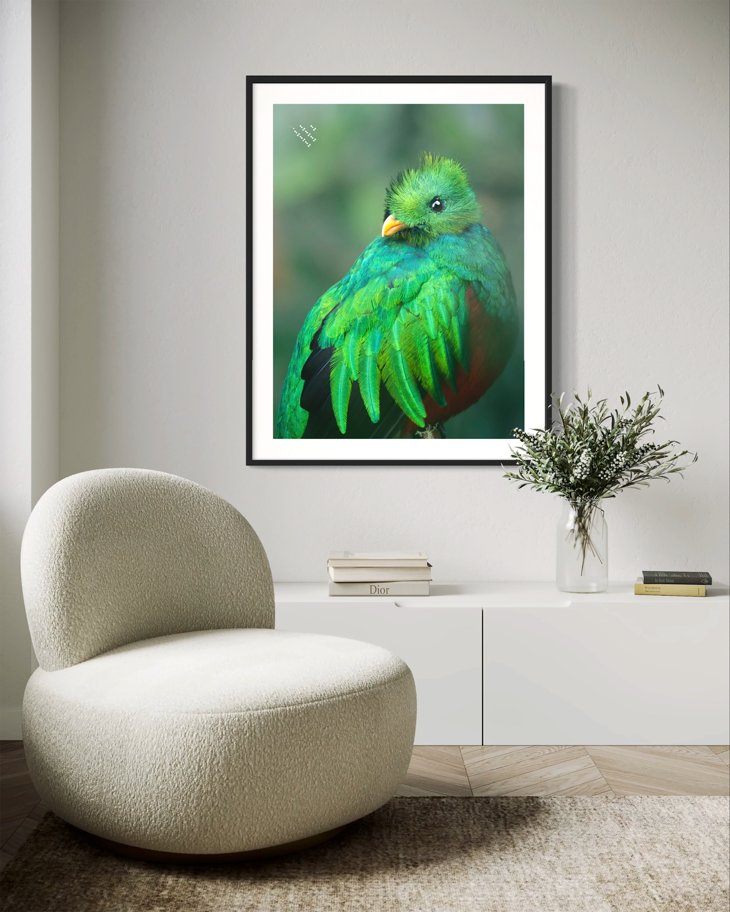 Quetzal - Photo d'art