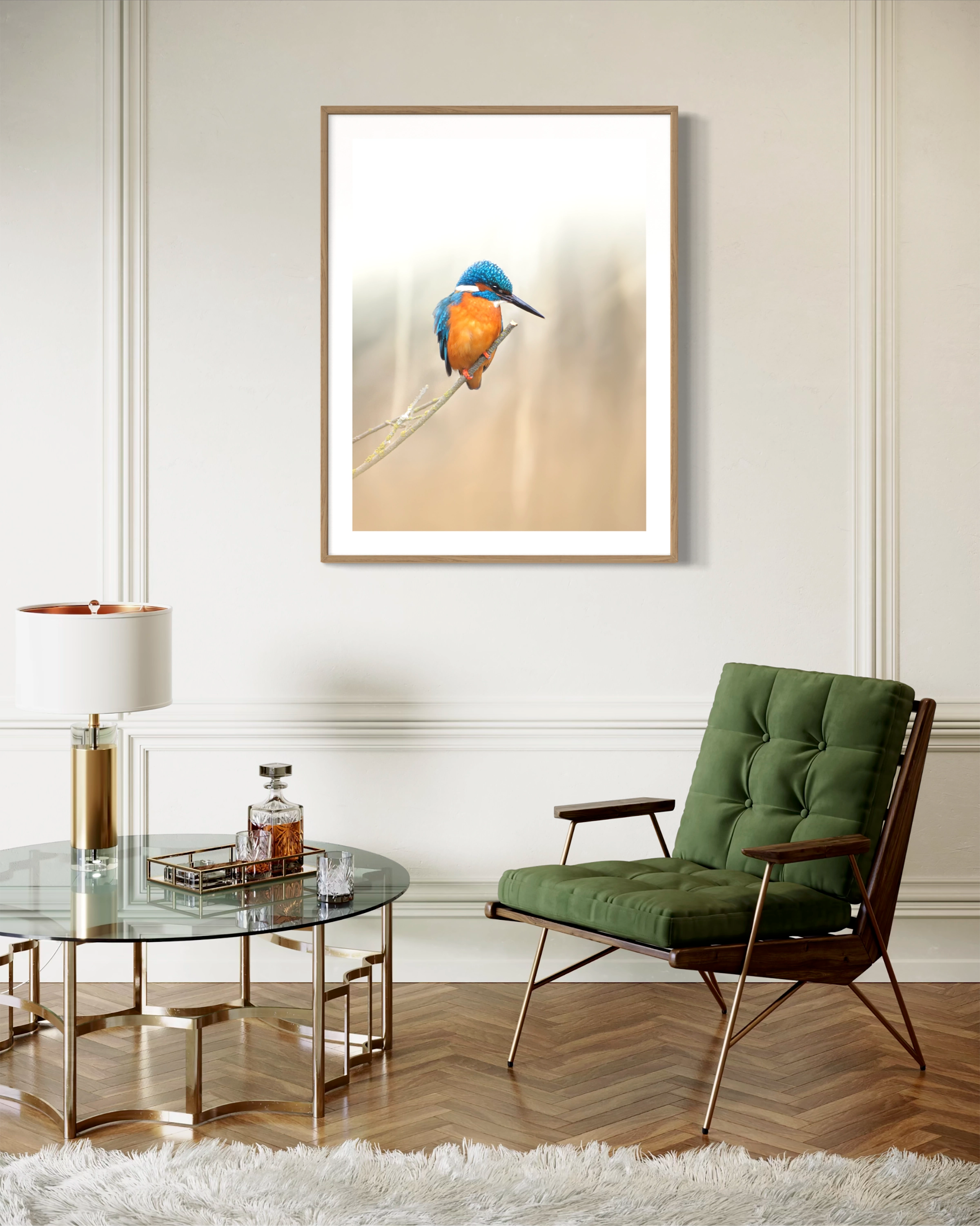 Martin-pêcheur - Photo d'art