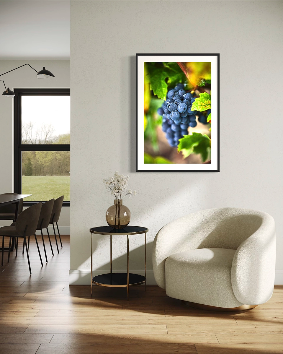 Mémoire de rosée - Photo d'art