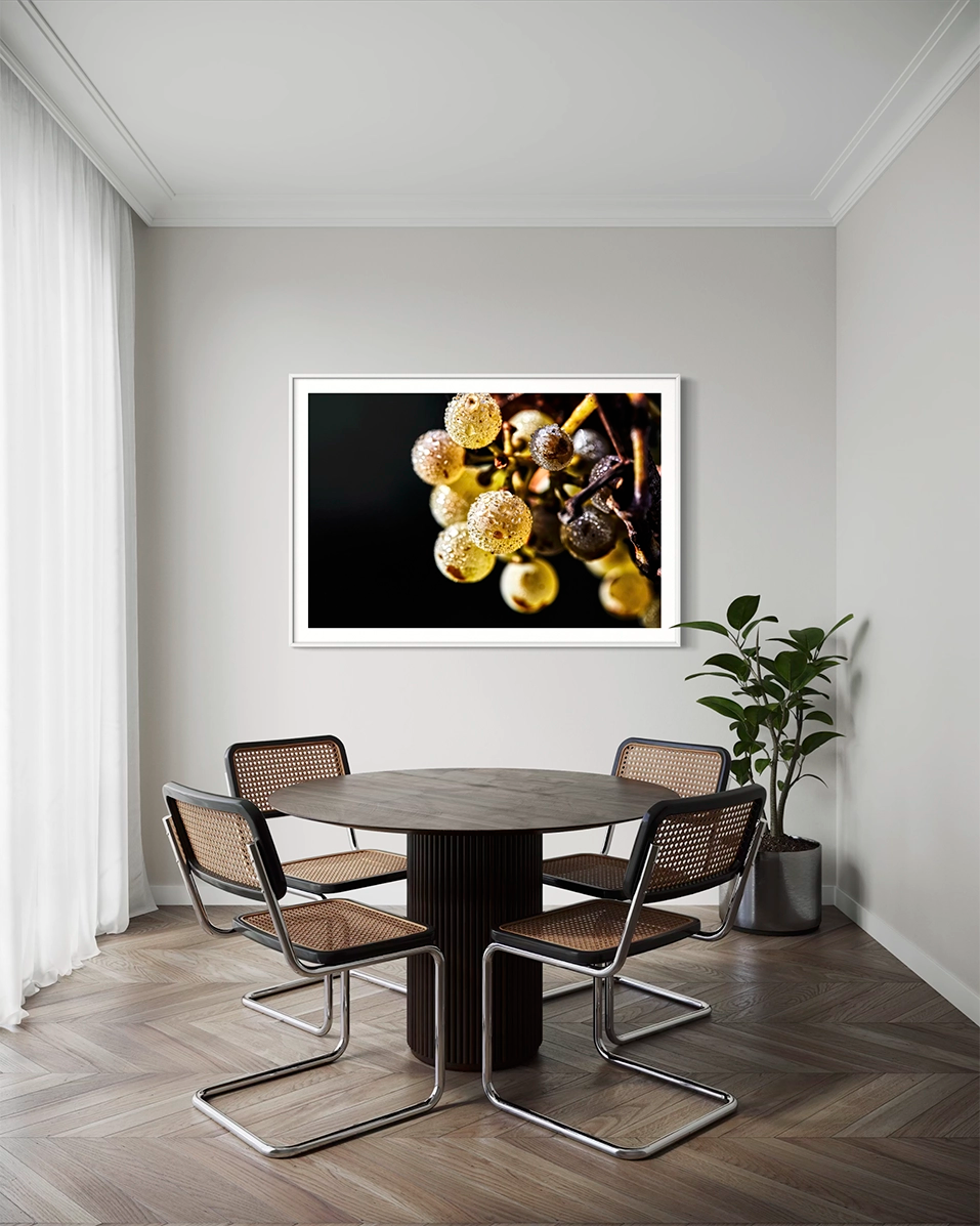 Perles du matin - Photo d'art