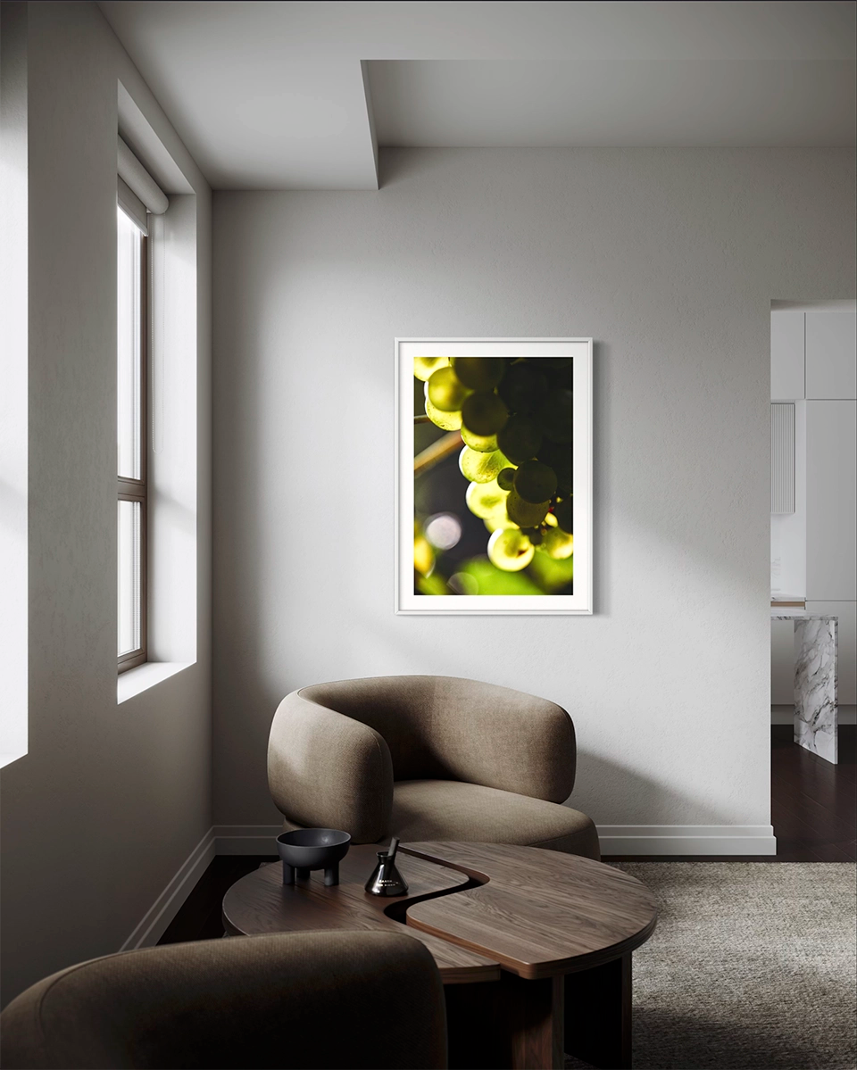 Transparence - Photo d'art