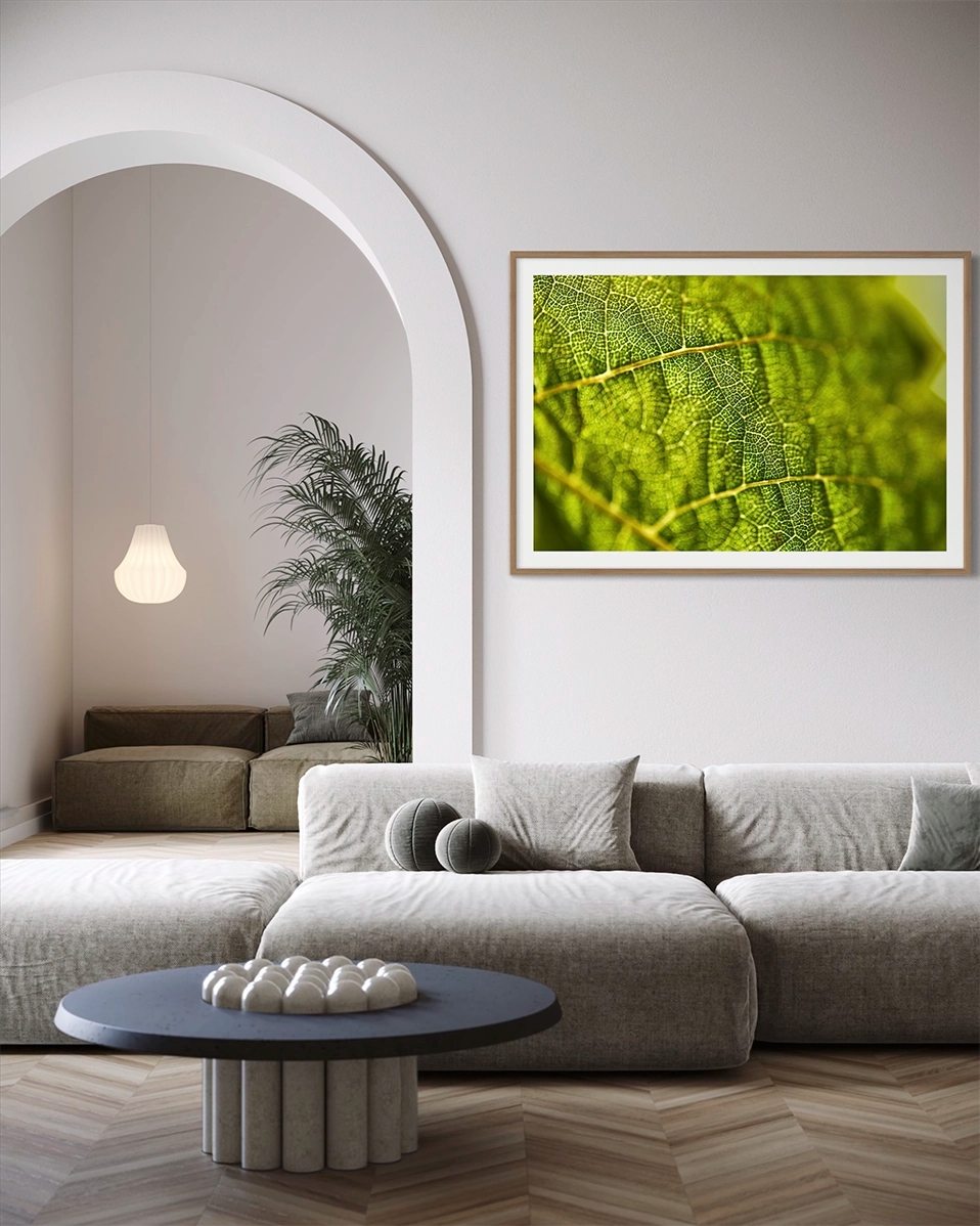 Végétal - Photo d'art