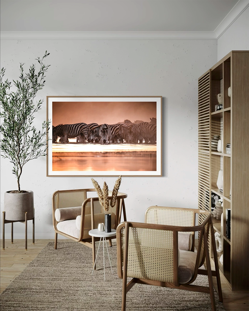 Zèbres dans la Boteti - Photo d'art