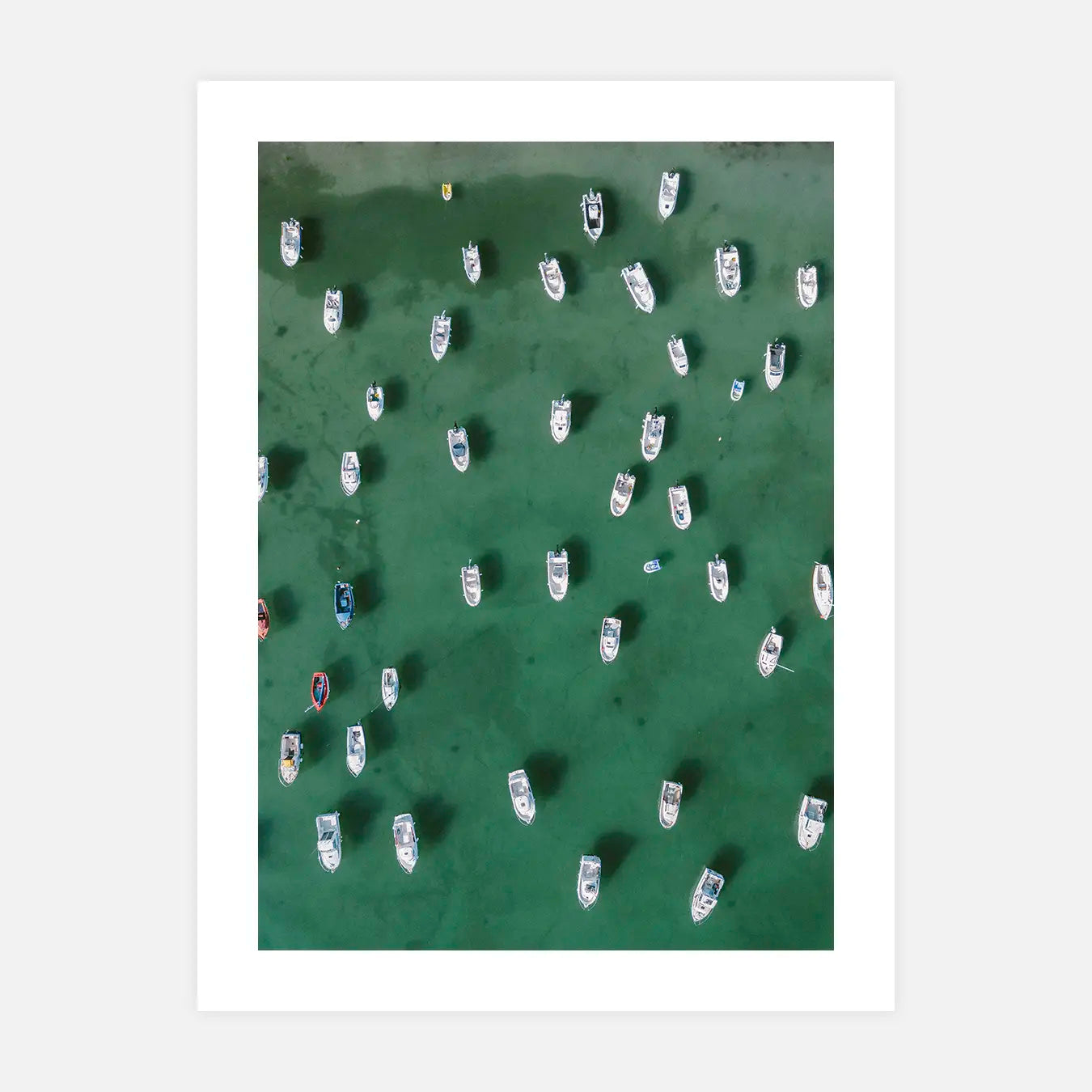 Port de Plaisance - Photo d'art