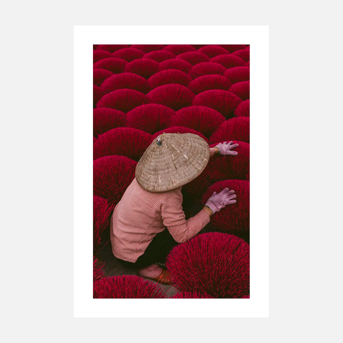 Vietnam II - Photo d'art