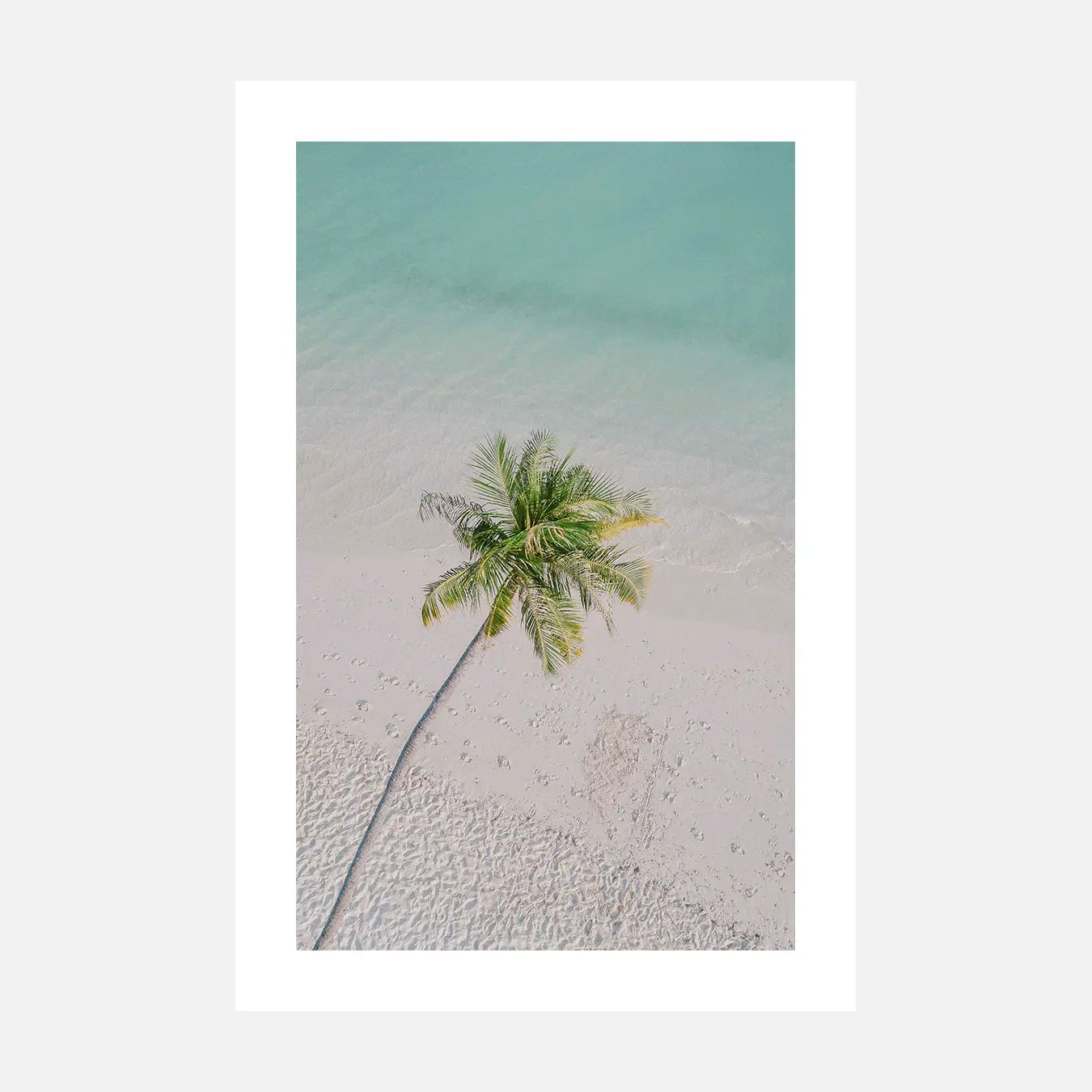 Plage Tropicale - Photo d'art