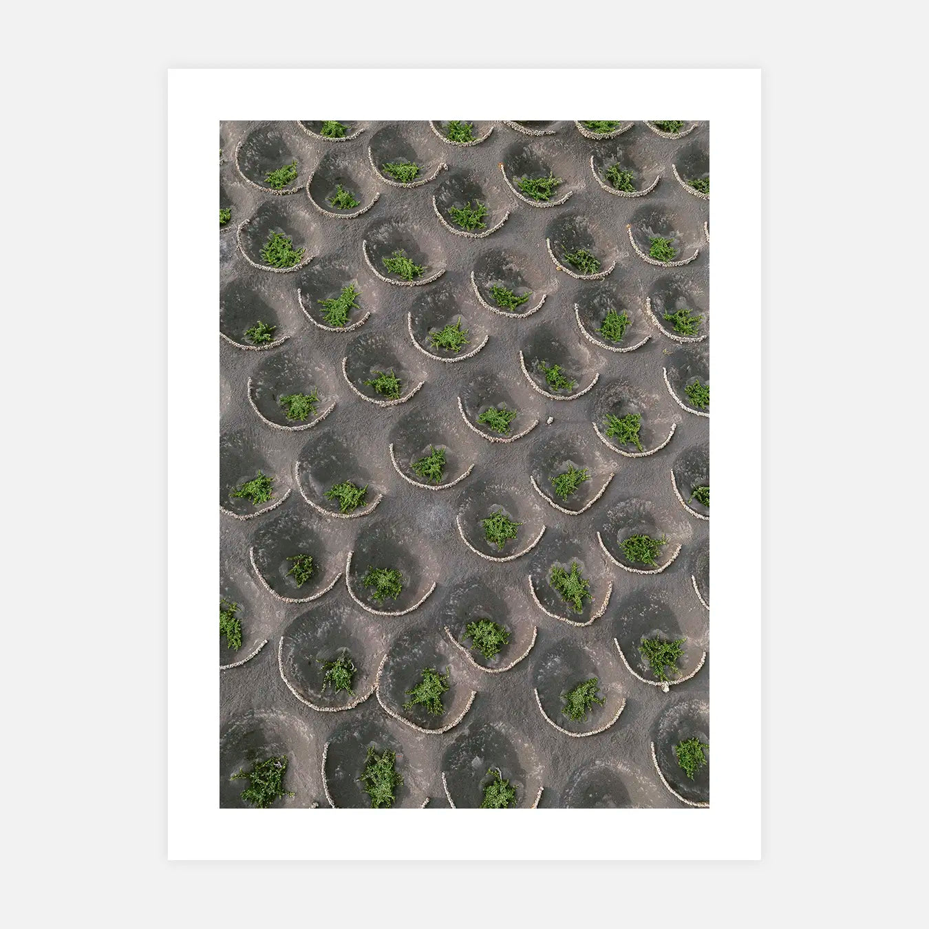 Lanzarote - Photo d'art