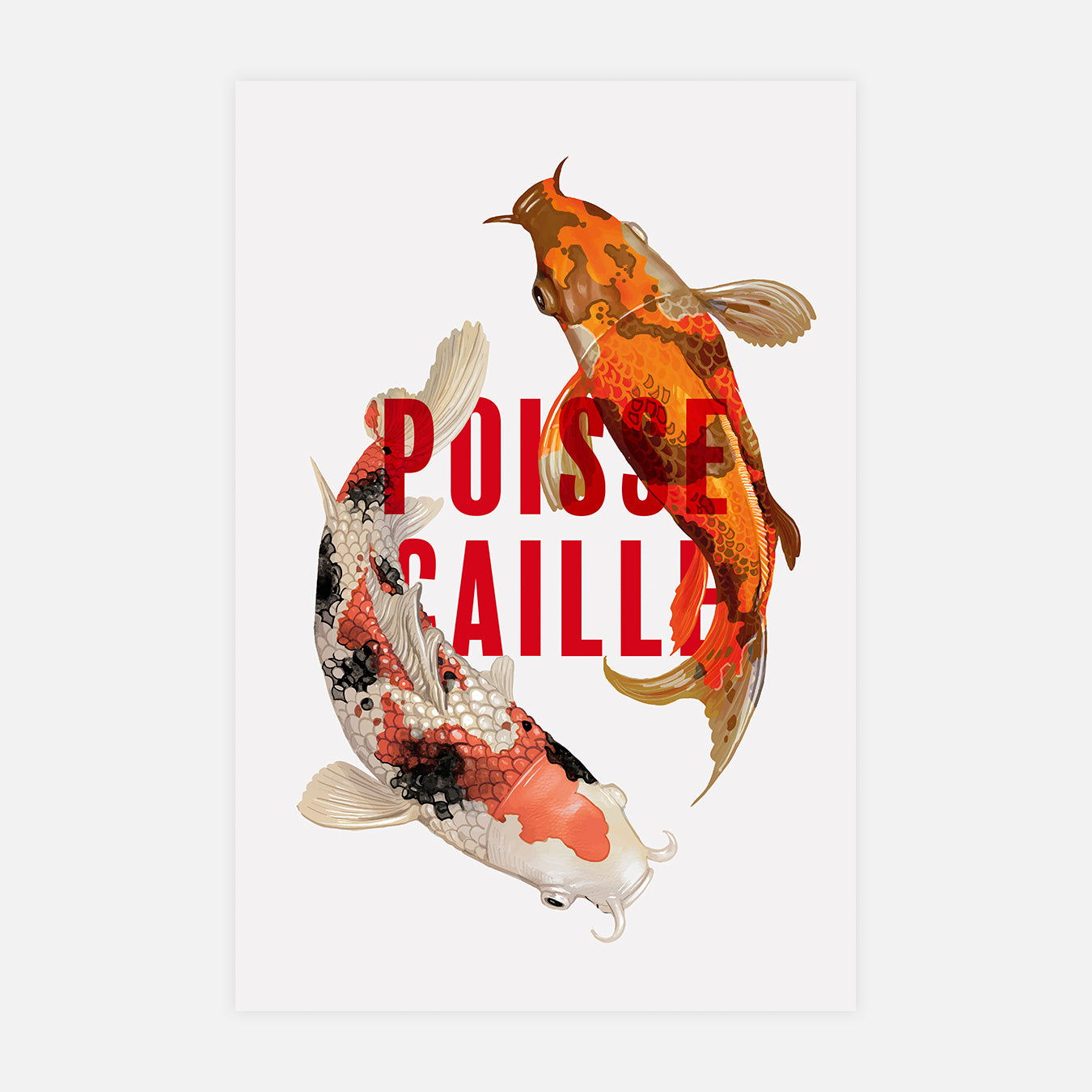 Poisse-caille - Illustration d'art
