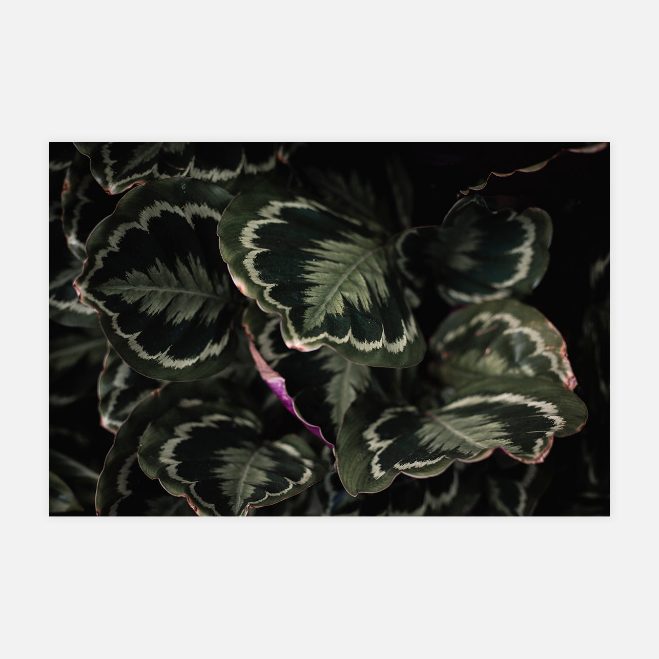 Quartz - Photo d'art