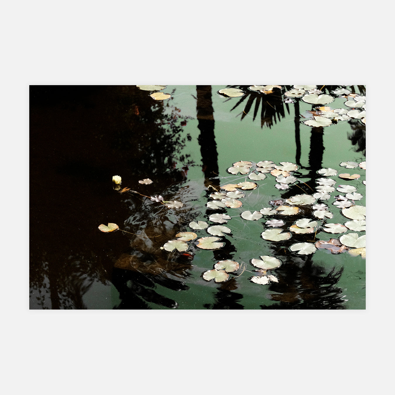 Rêver - Photo d'art