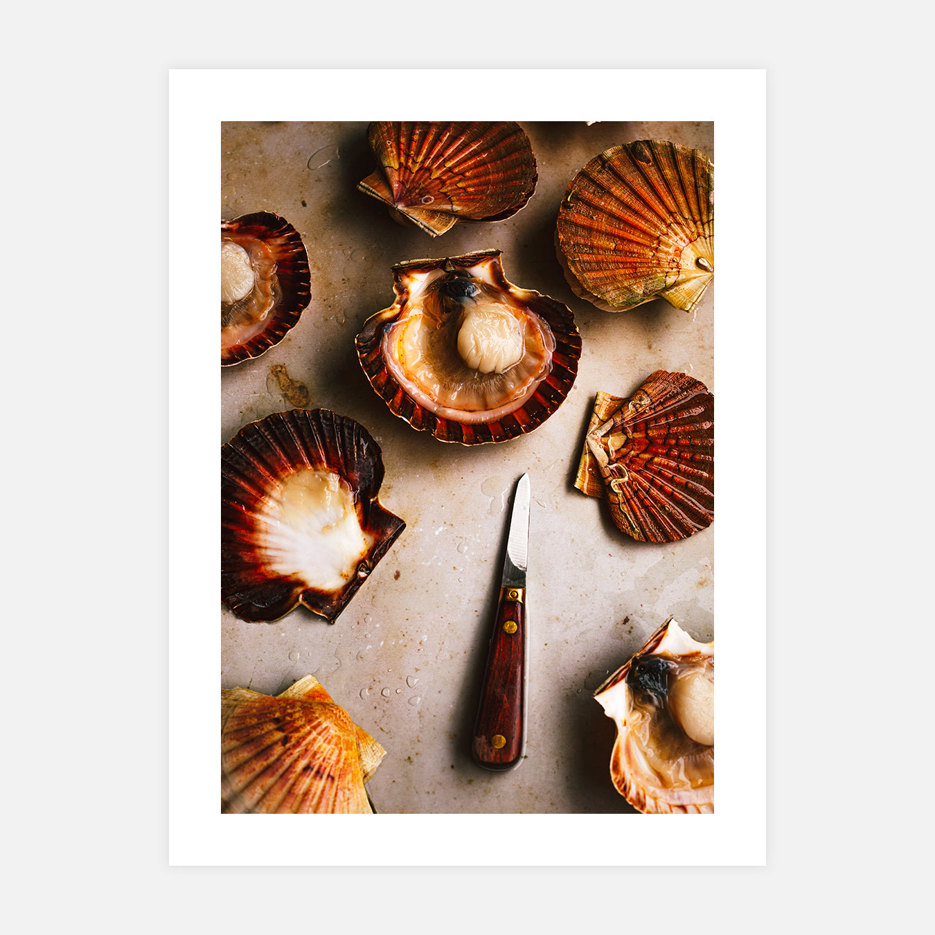 Saint-Jacques - Photo d'art