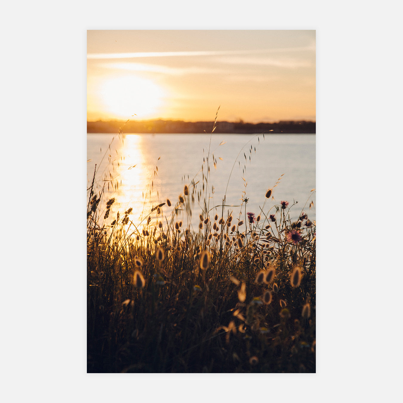 Solal - Photo d'art