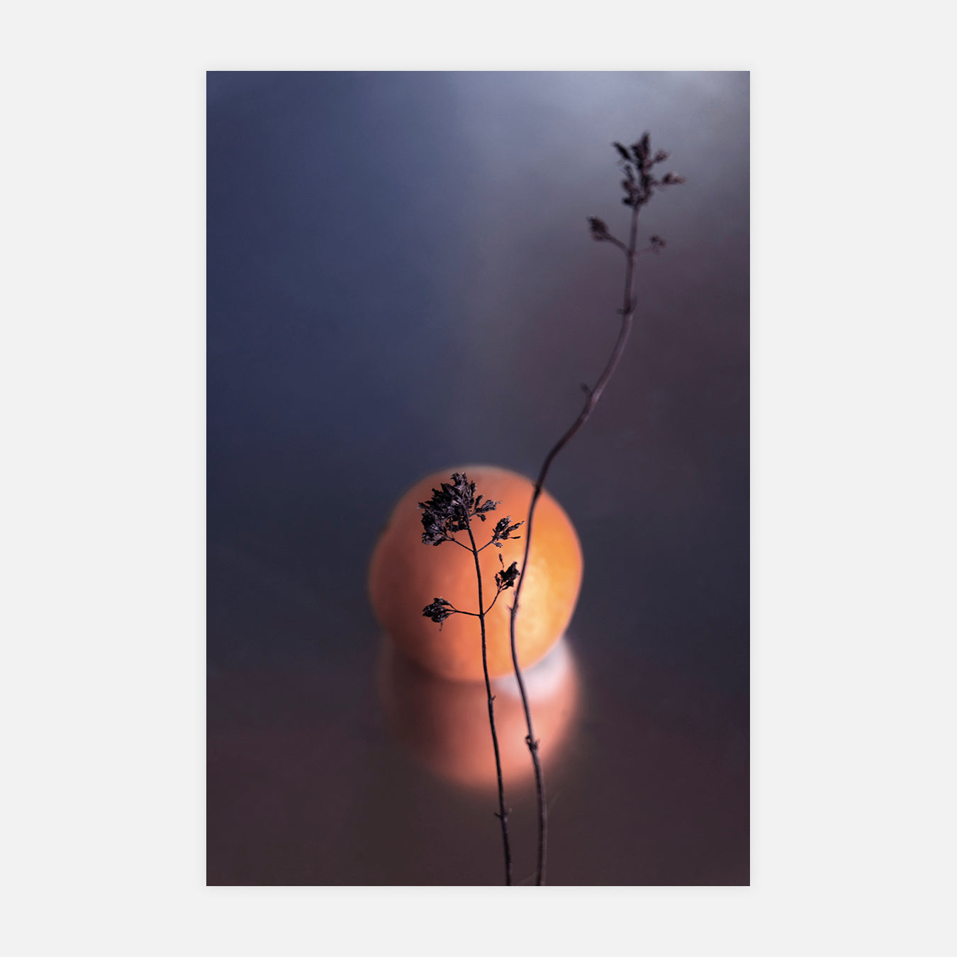 Soleil - Photo d'art