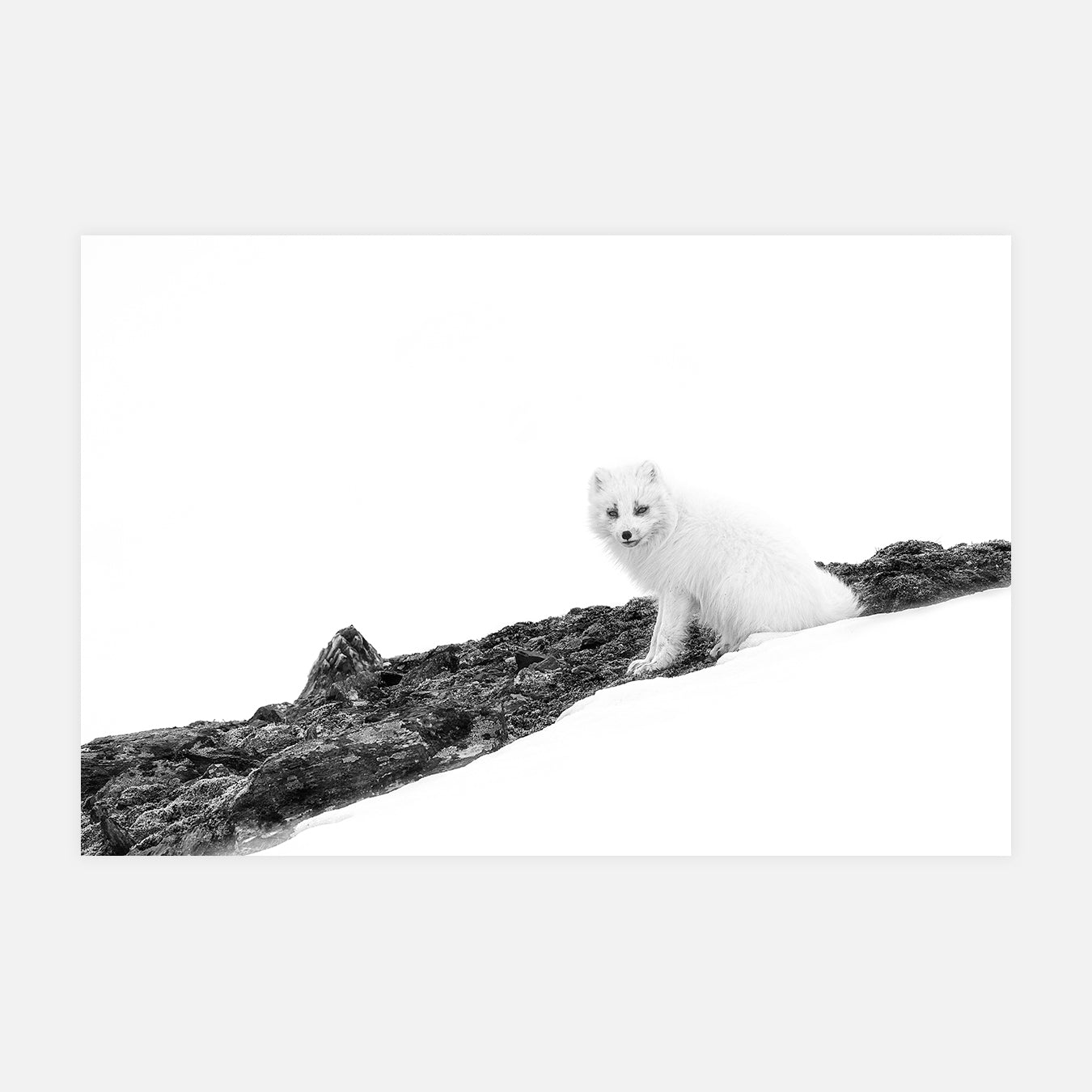 Sport d'hiver - Photo d'art