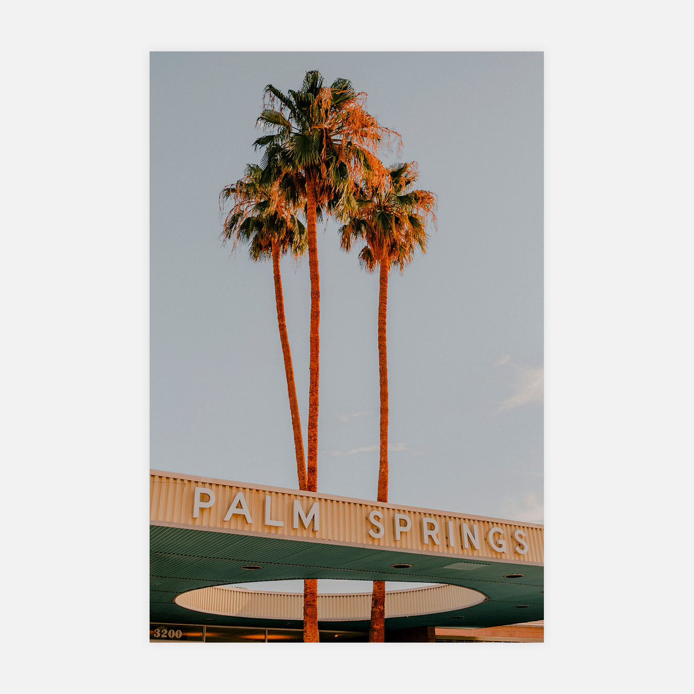 Trois palmiers dans un cercle - Photo d'art