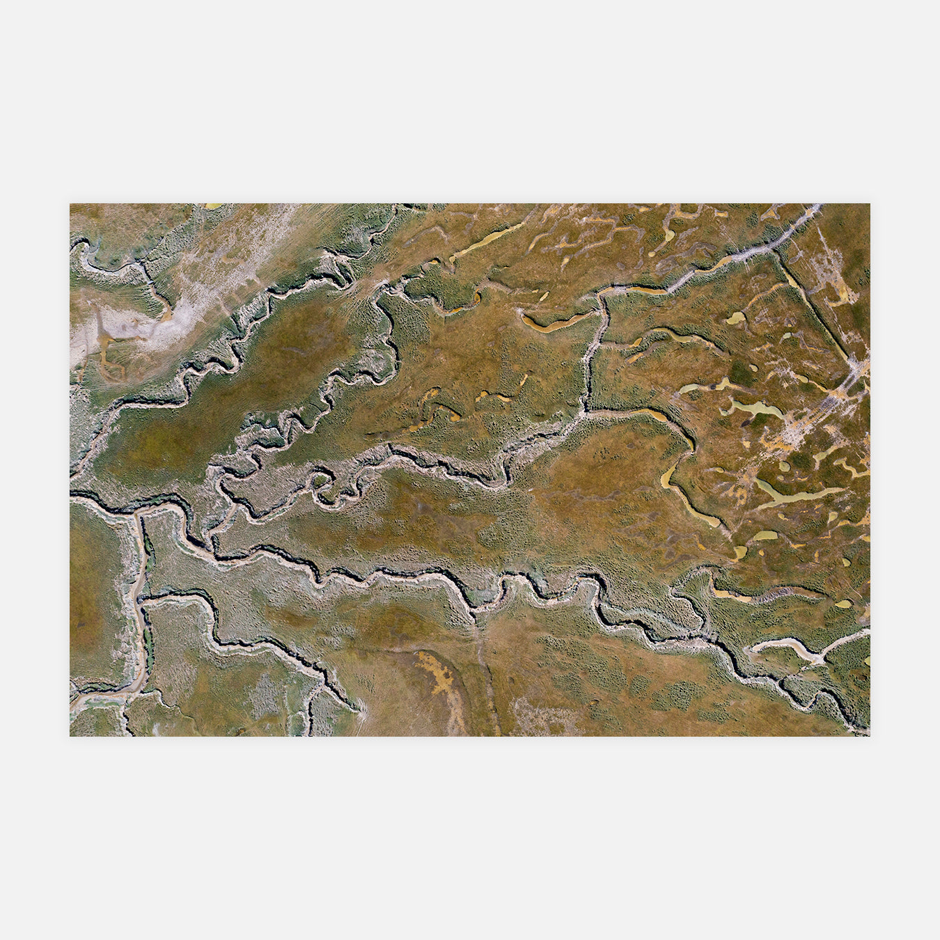 Zone humide - Photo d'art