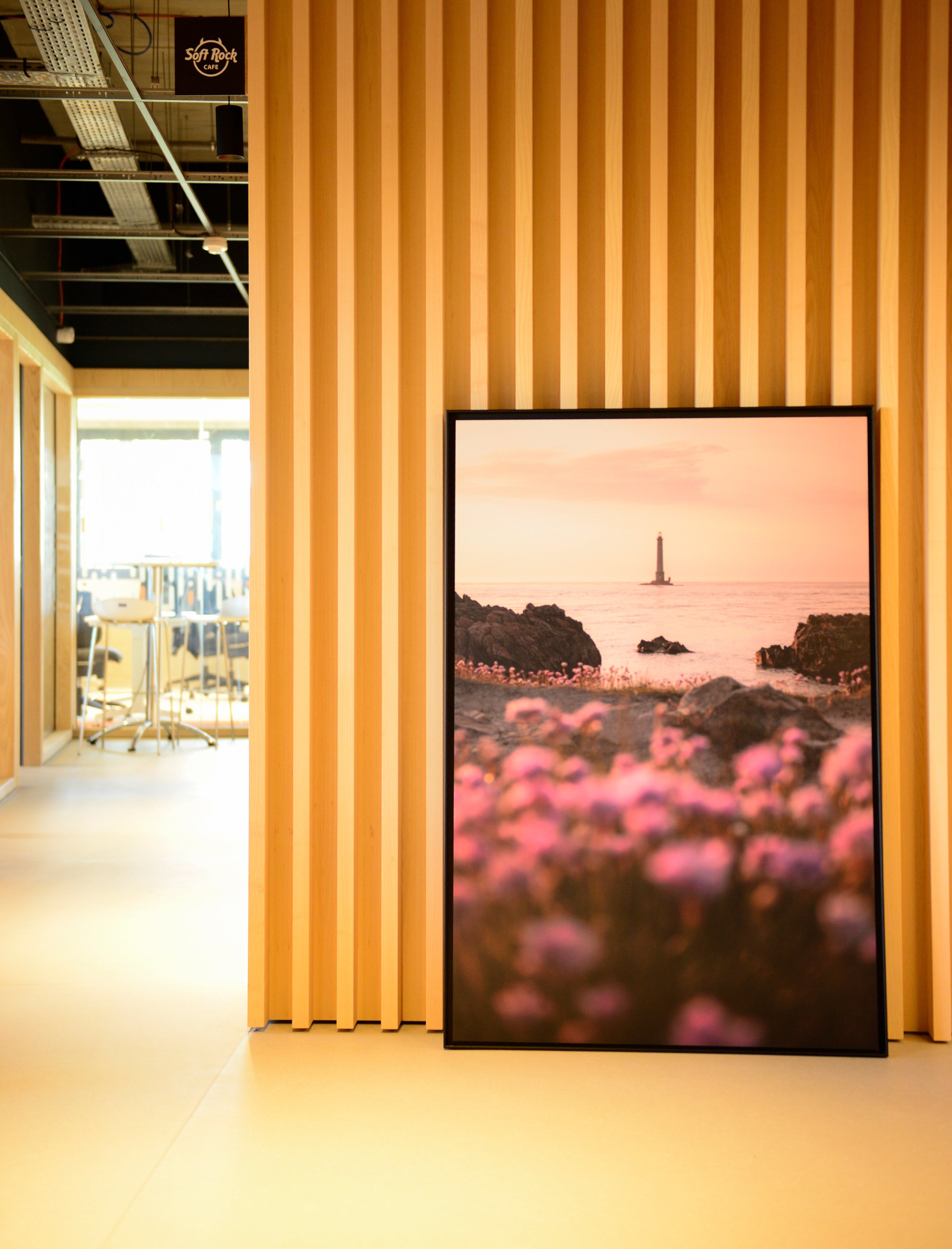 Printemps à Goury - Photo d'art