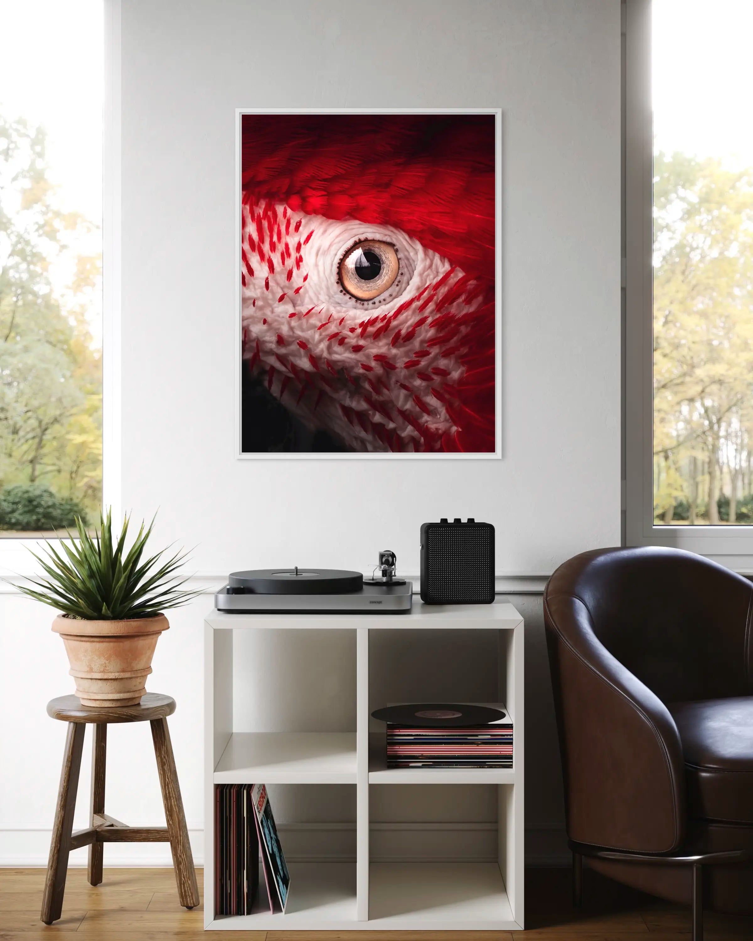 Eyes contact - Photo d'art