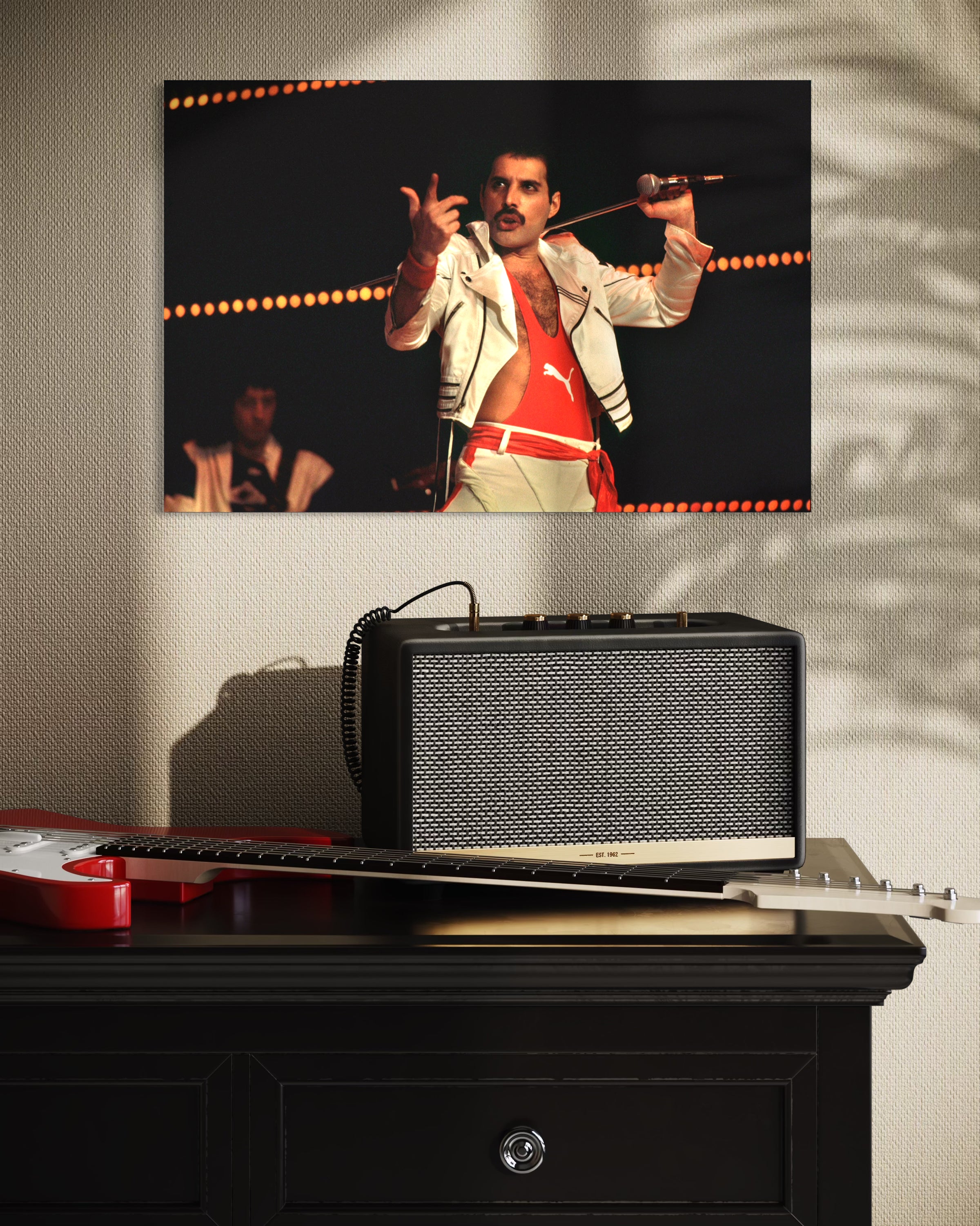 Freddie Mercury au festival de Sanremo - Photo d'art