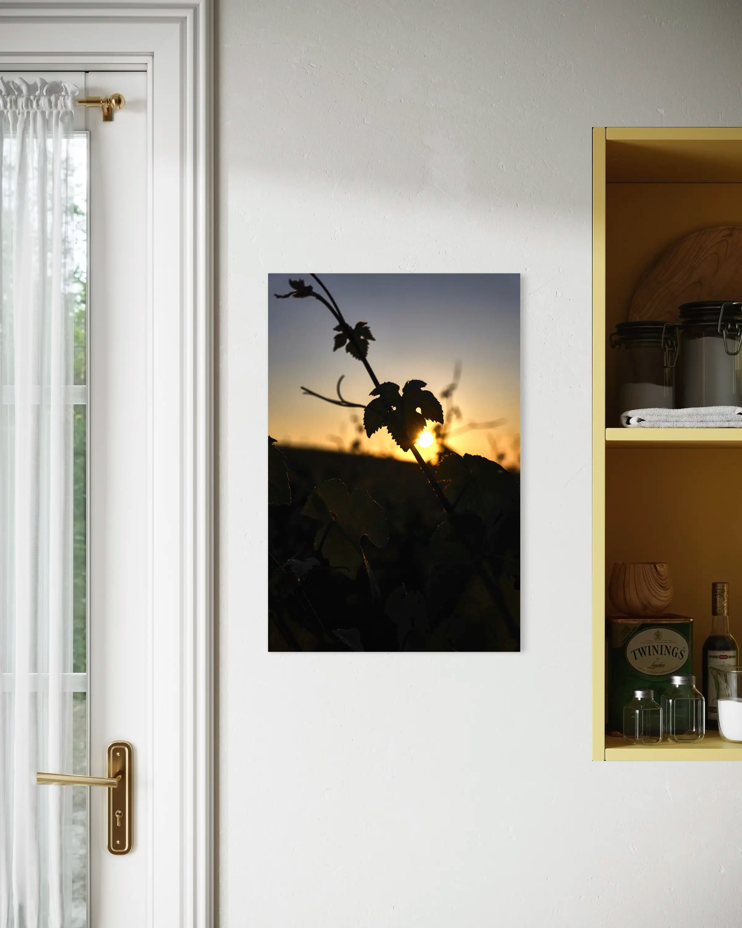 Crépuscule sur la vigne - Photo d'art