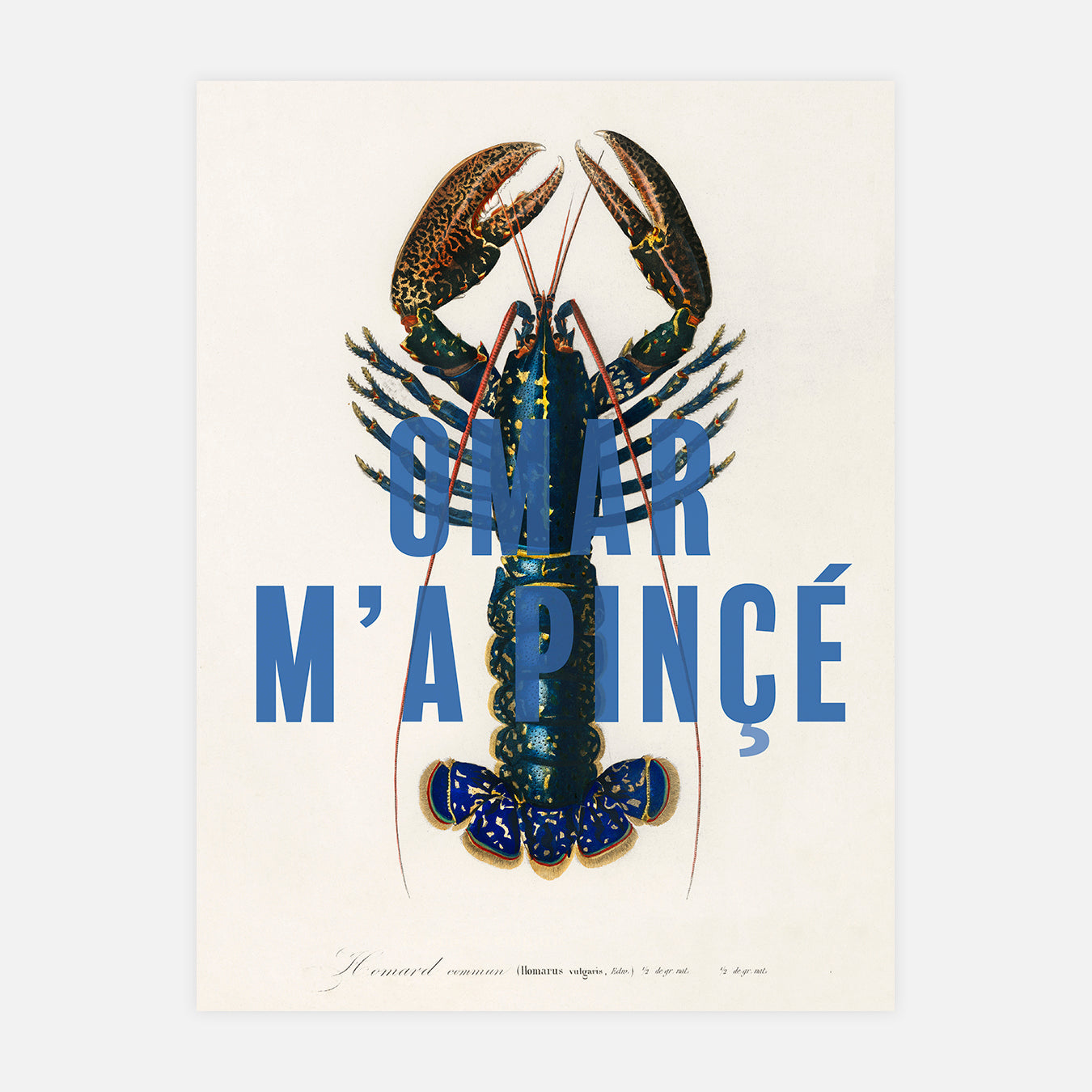 Omar m'a pincé - Illustration d'art