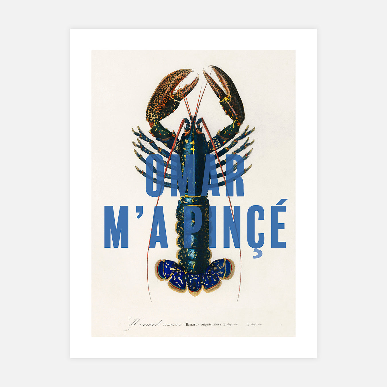 Omar m'a pincé - Illustration d'art