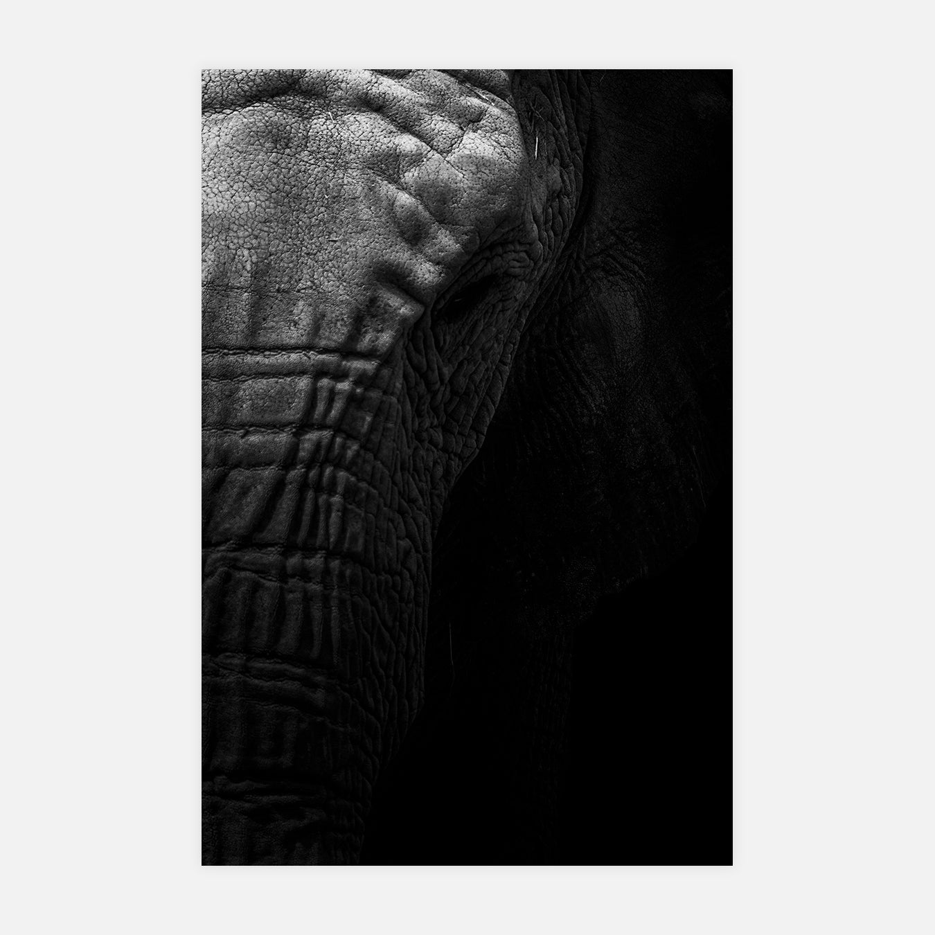 Âme sensible - Photo d'art