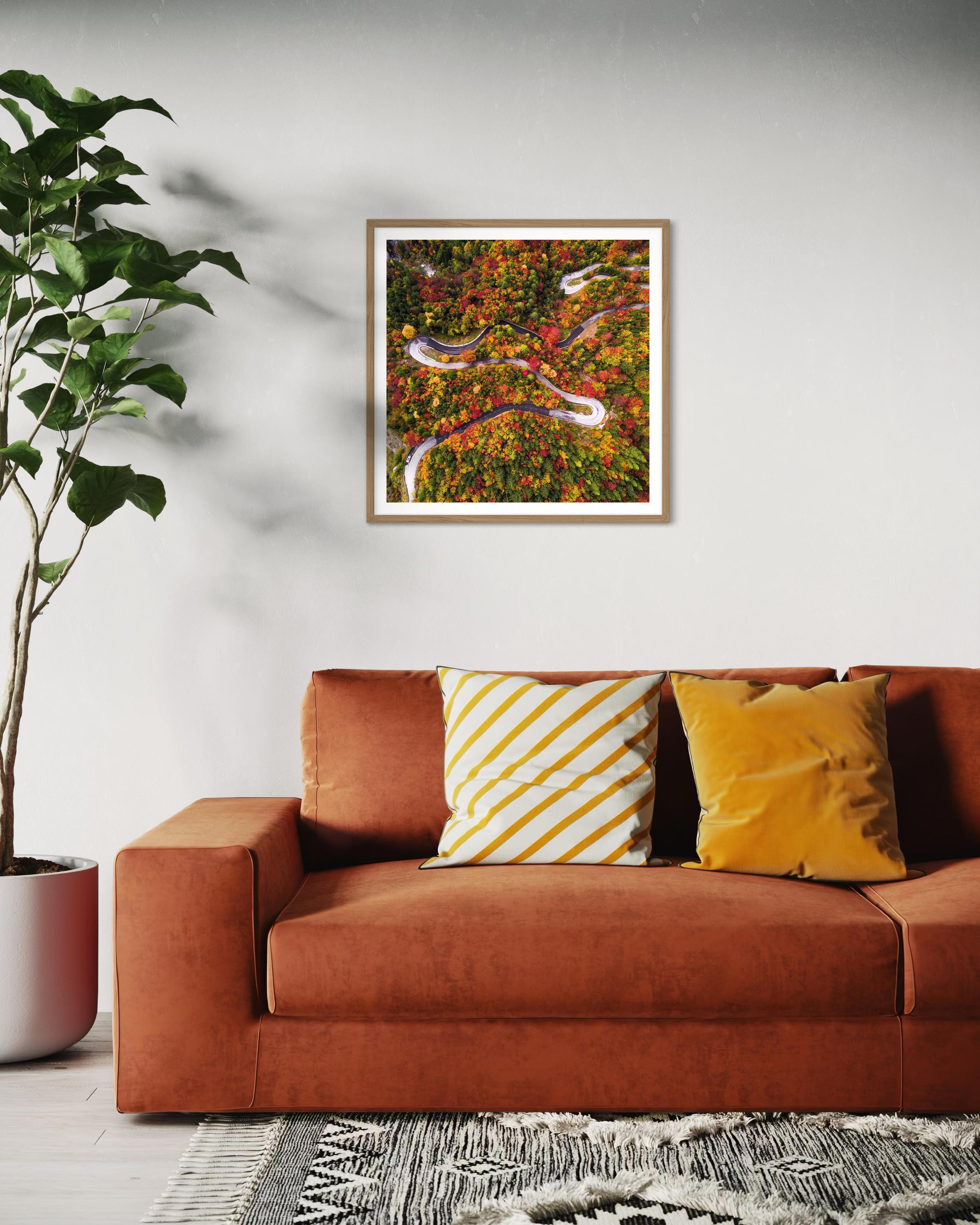 Automne Slovène - Photo d'art