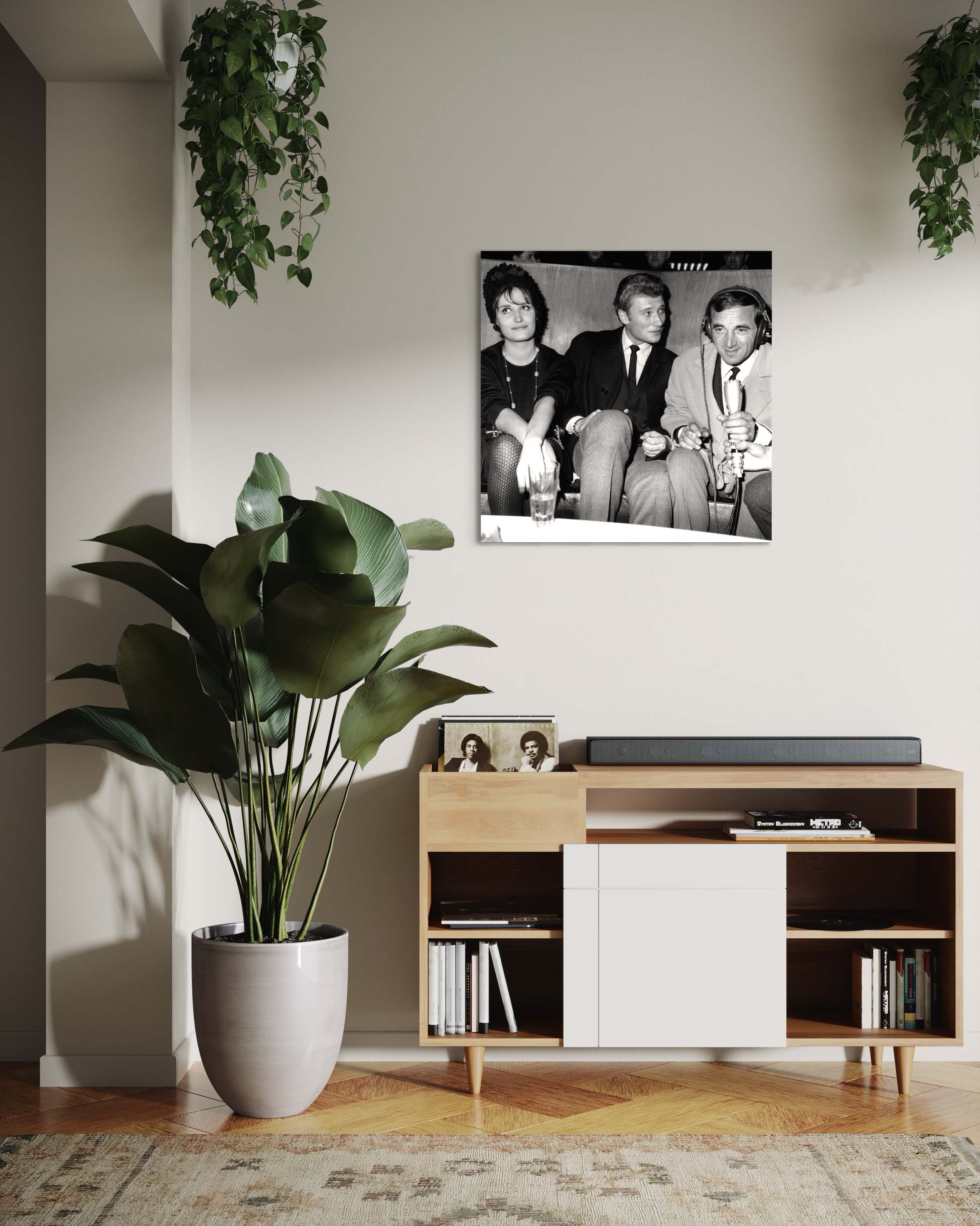 Dalida, Hallyday et Aznavour - Photo d'art