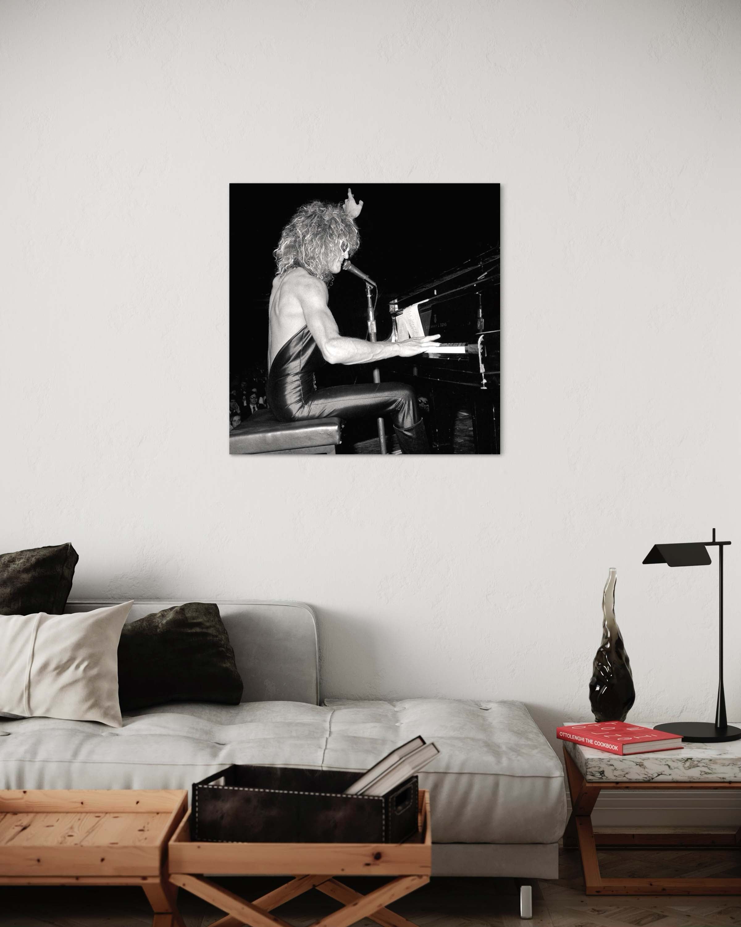 Polnareff sur scène à l'Olympia - Photo d'art