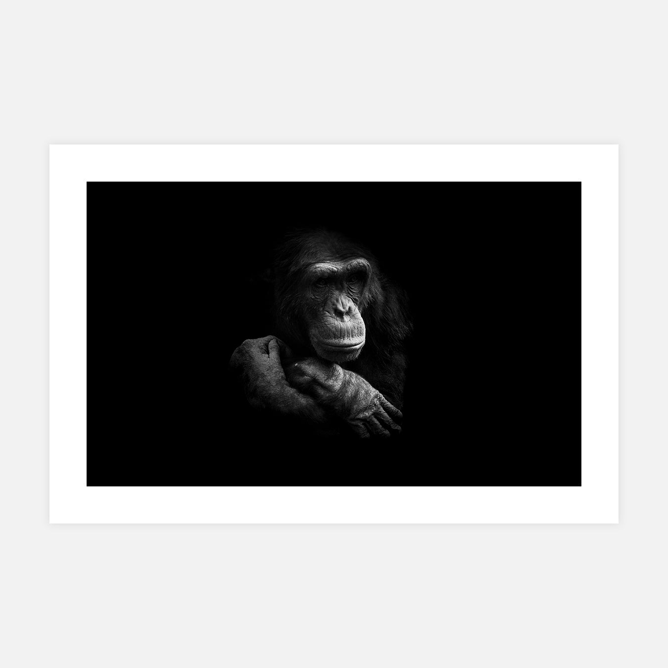 photographie-animaux-noir-et-blanc-affiche-déco