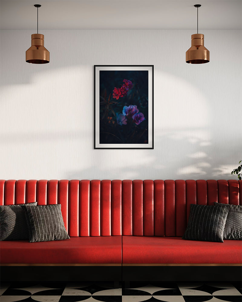 Cleriana - Photo d'art