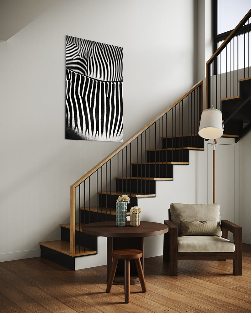 Courbes zébrées - Photo d'art