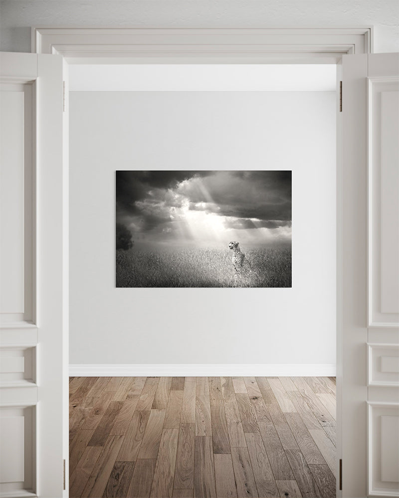 Dans la lumière - Photo d'art