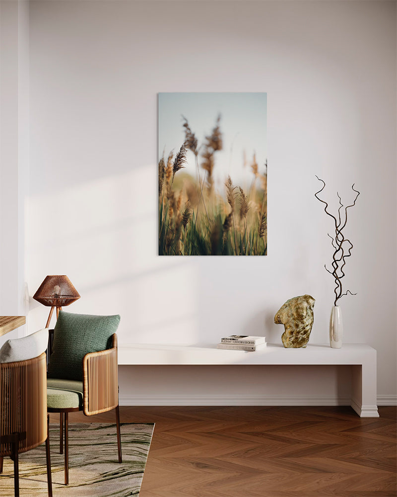 Délicate - Photo d'art