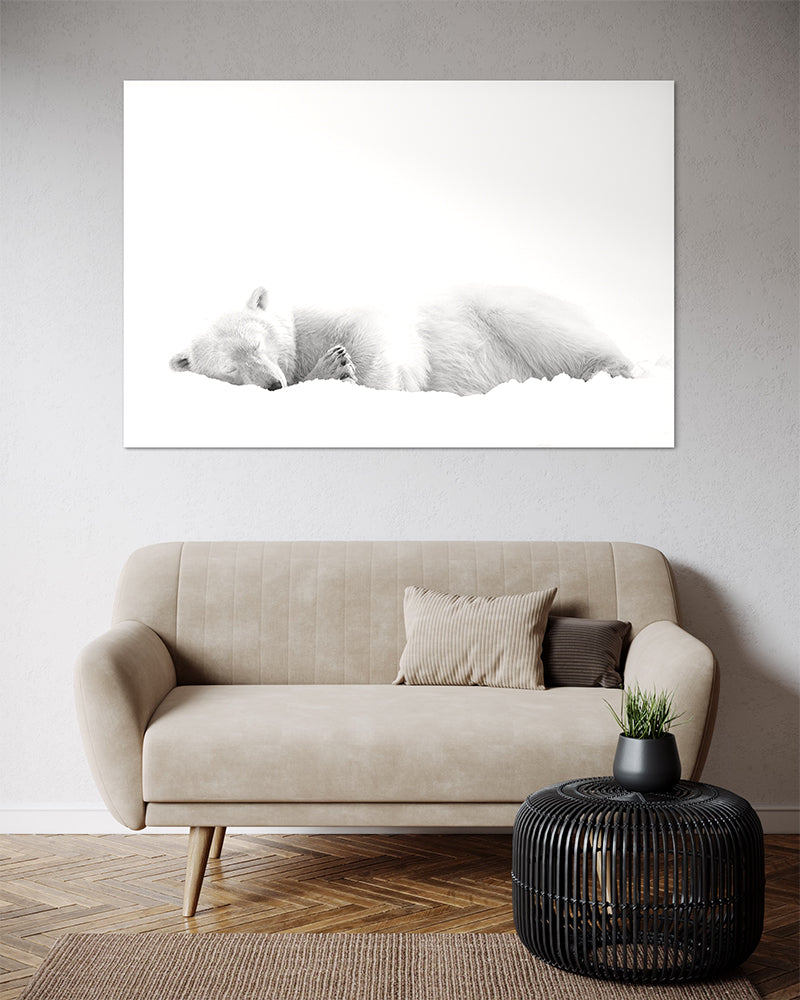 Derrière la douceur - Photo d'art