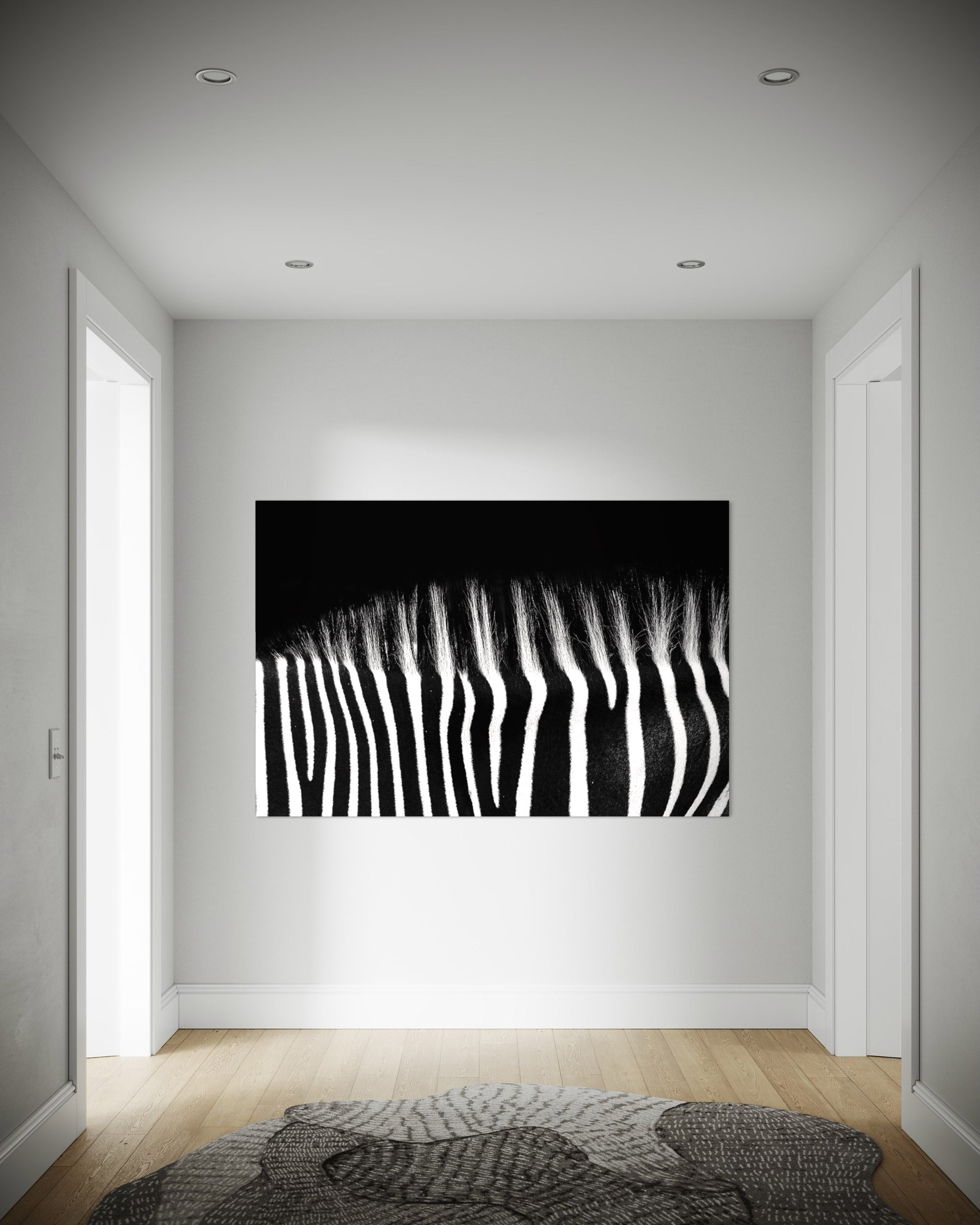 Dos zébré - Photo d'art