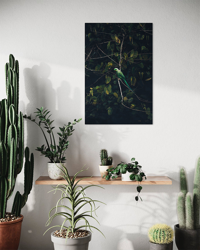 Elégance tropicale - Photo d'art