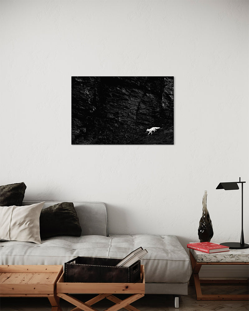 En transit - Photo d'art