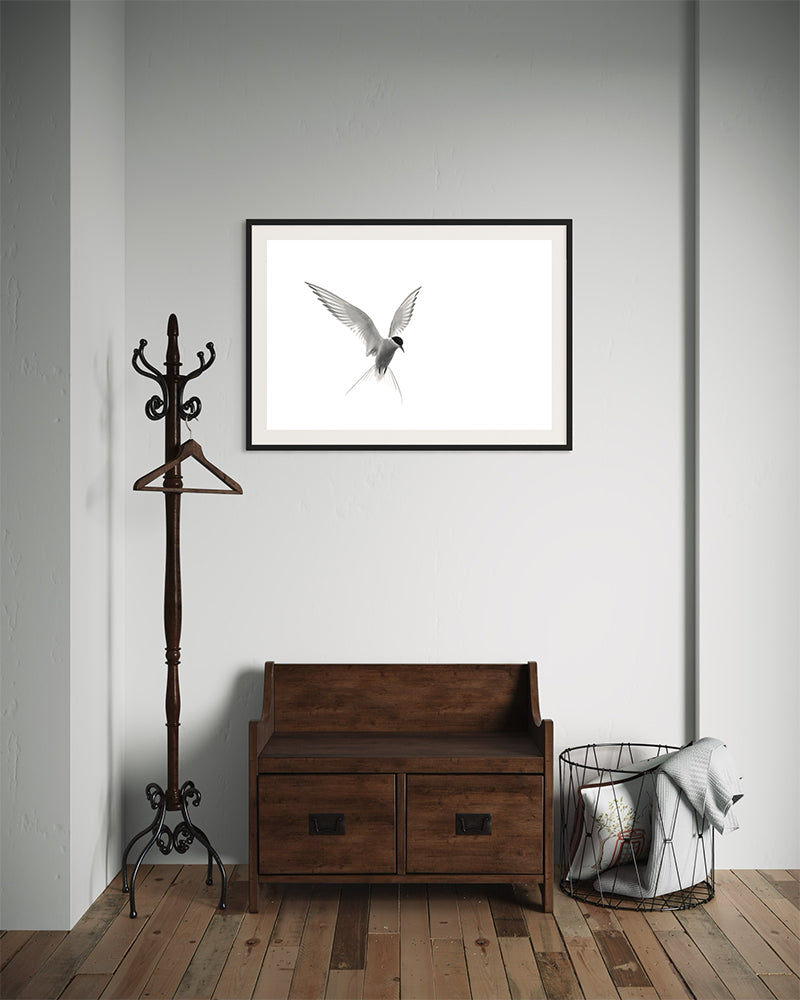 Façon papillon - Photo d'art