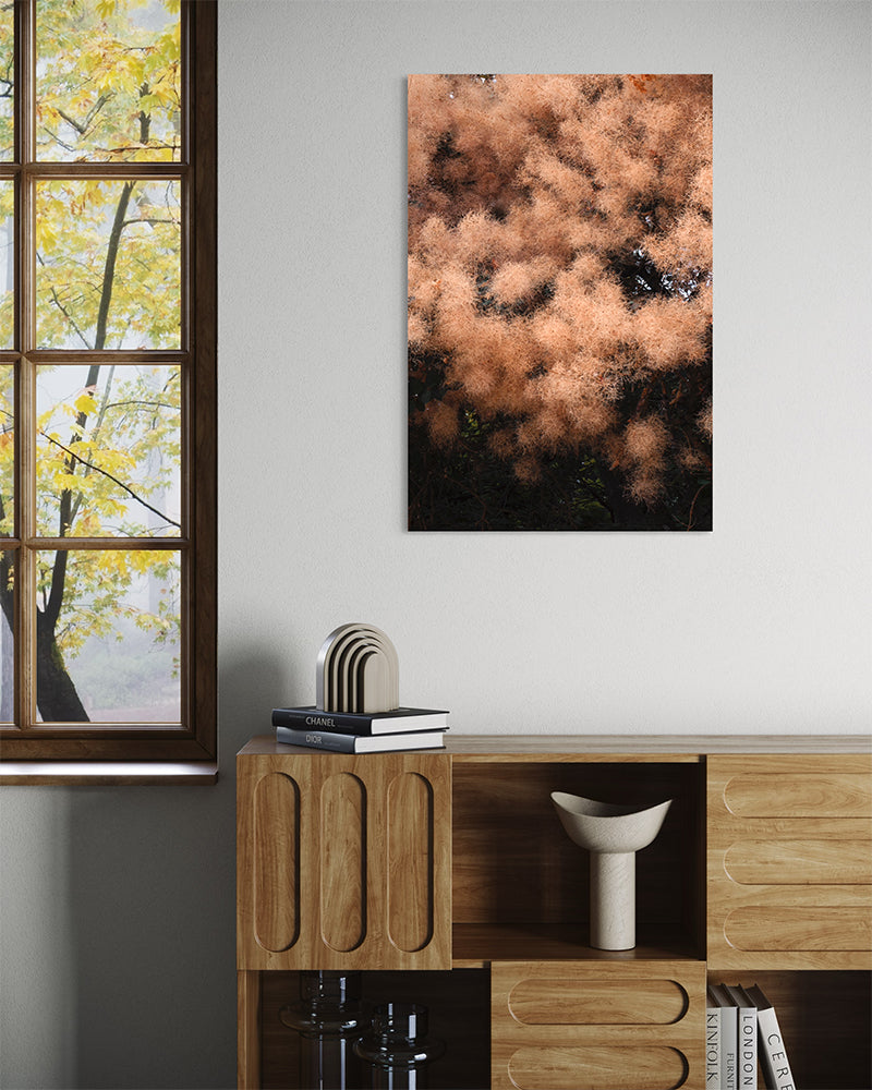 Florescence - Photo d'art