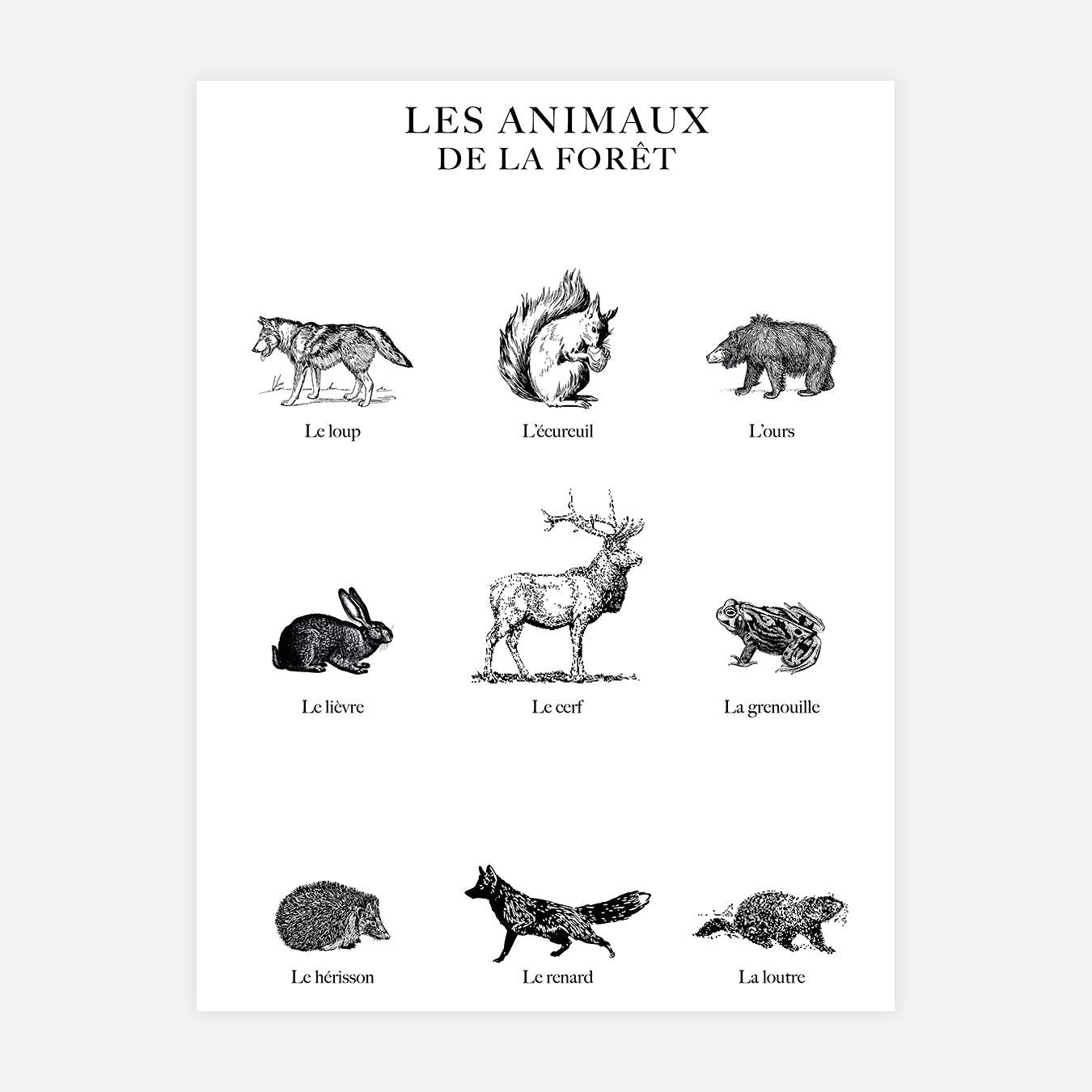 Les animaux de la forêt - Illustration d'art