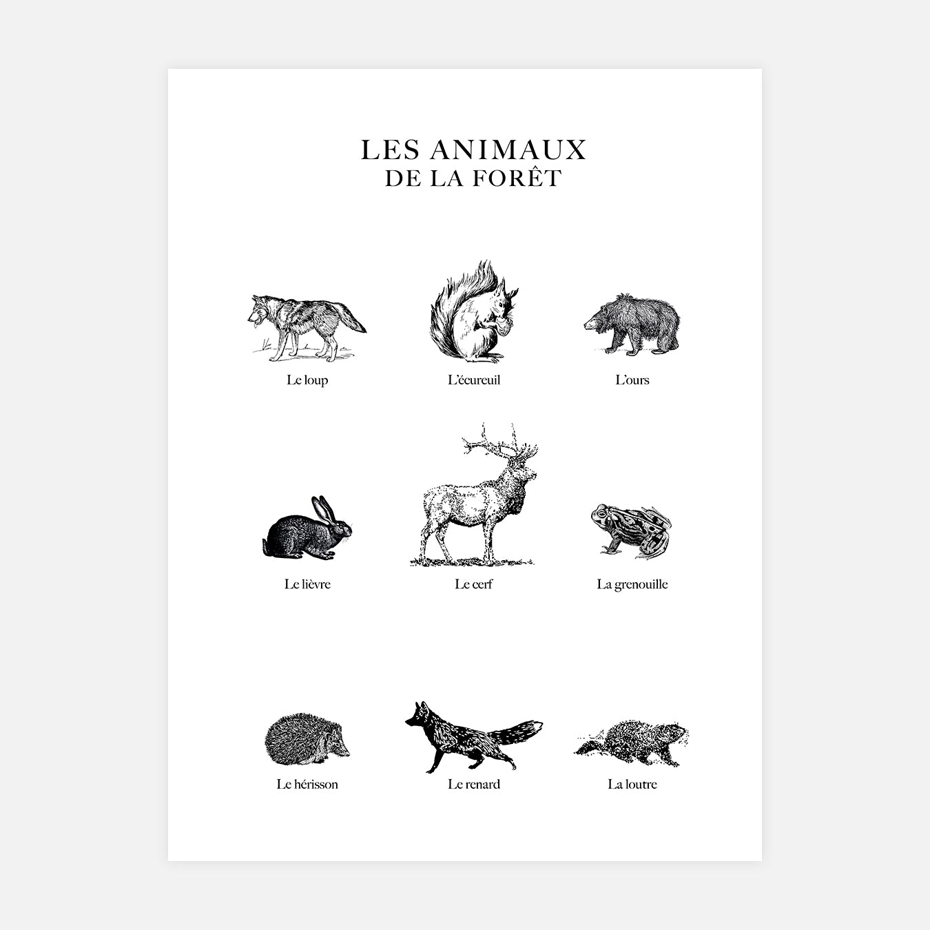 Les animaux de la forêt - Illustration d'art